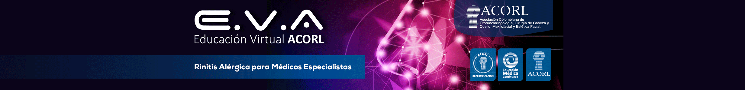 Banner secundario de curso relacionado con Balón de dilatación para oído