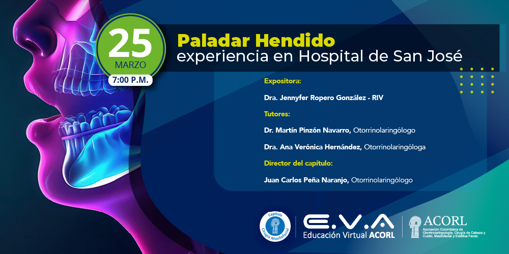 113. Reunión Capítulo Cirugía Maxilofacial