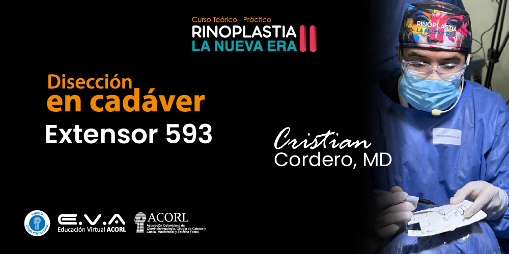 Rinoplastia II: La Nueva Era - Disección en cadáver EXTENSOR 593